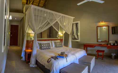 Chobe Bush Lodge - Kasane Botswana