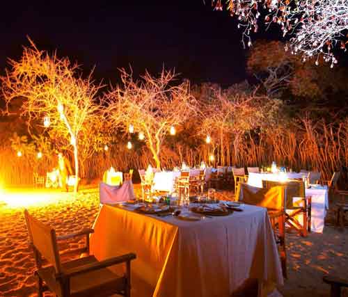 Tarangire Treetops  - Tanzania