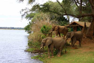 Chongwe River Camp - Lower Zambezi Zambia