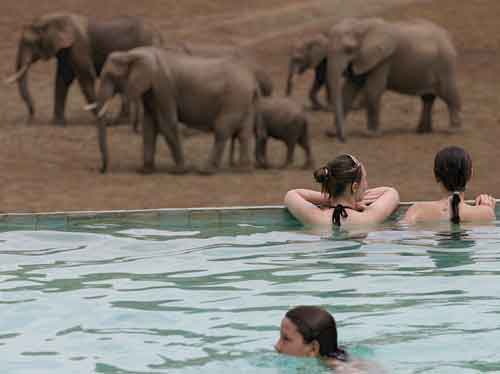Mfuwe Lodge - South Luangwa Zambia