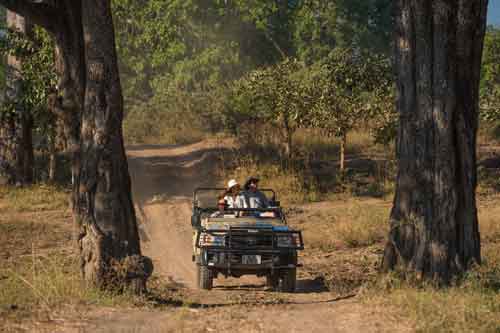 Nsefu Camp - South Luangwa Zambia