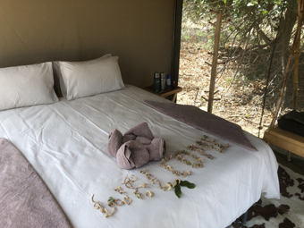 Tusk & Mane Camp  - Lower Zambezi Zambia