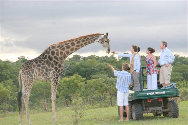 Bushmen Rock - Harare Zimbabwe