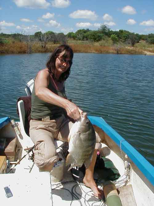 priv� safari lake cruise - kariba Zimbabwe