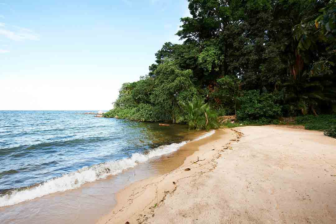 Wami River Saadani NP Saadani safari Tanzania