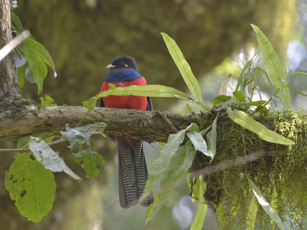 Wami River Saadani NP Saadani safari Tanzania