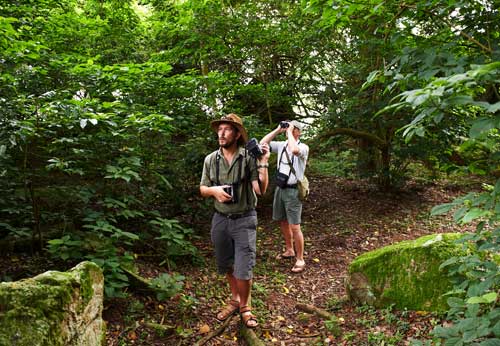 Wami River Saadani Saadani safari Tanzania