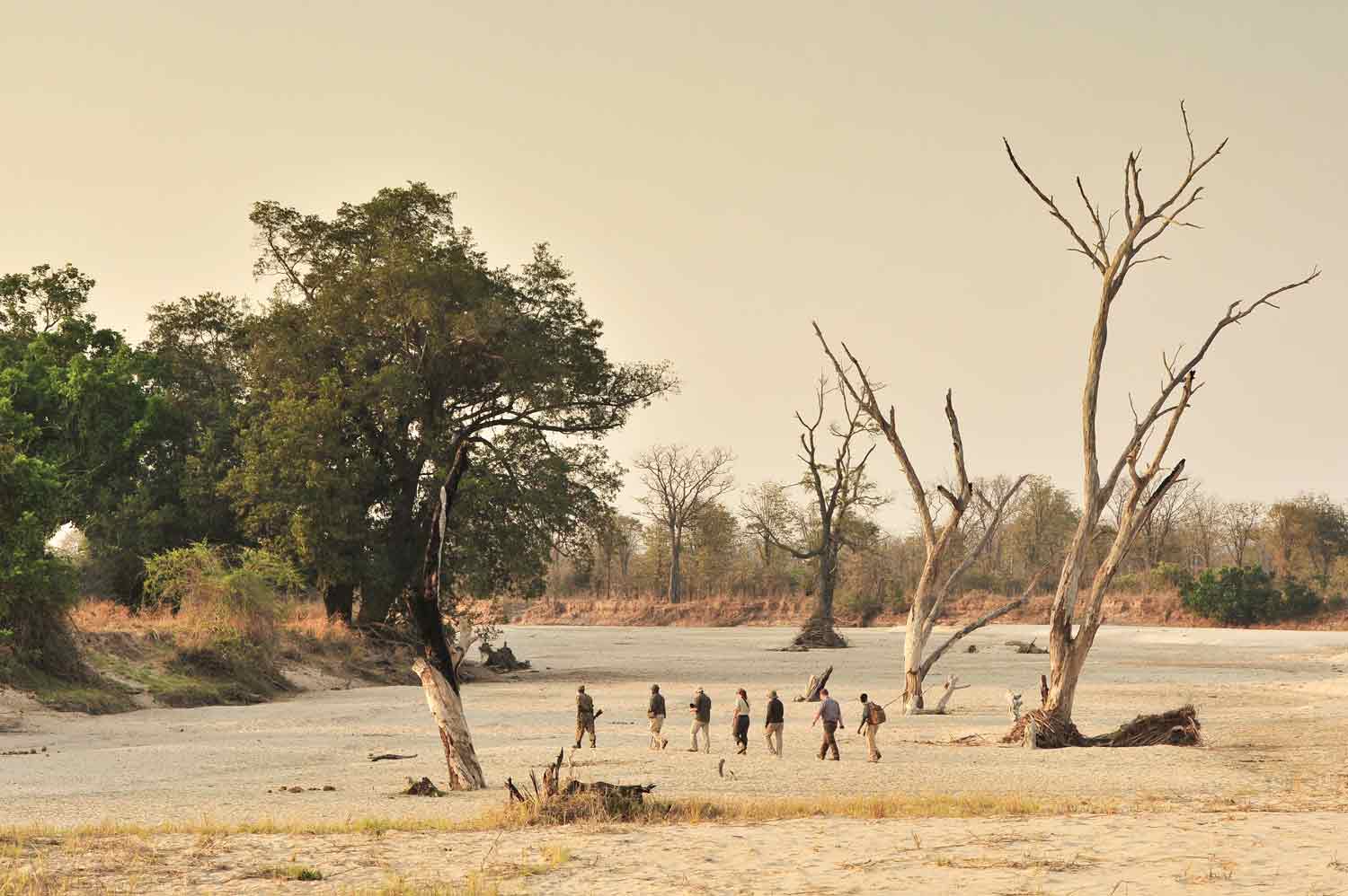 South Luangwa Norman Carr Safaris South Luangwa Norman Carr Safaris