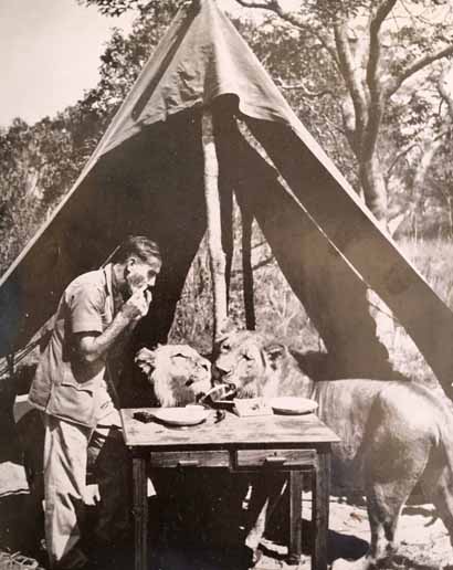 Norman Carr Safaris South Luangwa National Park Zambia Norman Carr Safaris South Luangwa National Park Zambia