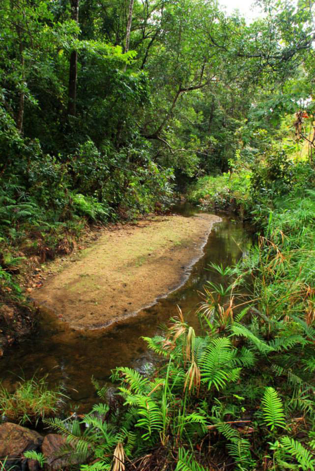 Nkhotakota Game Reserve Malawi