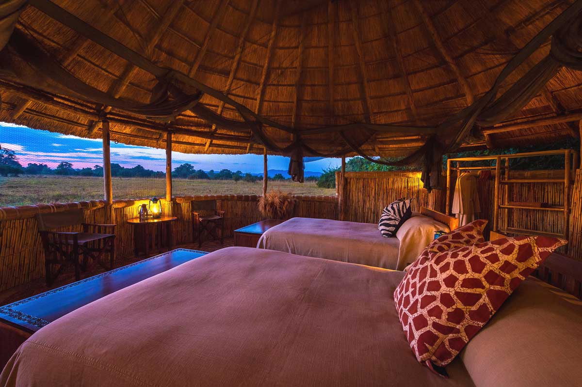 South Luangwa National Park Zambia