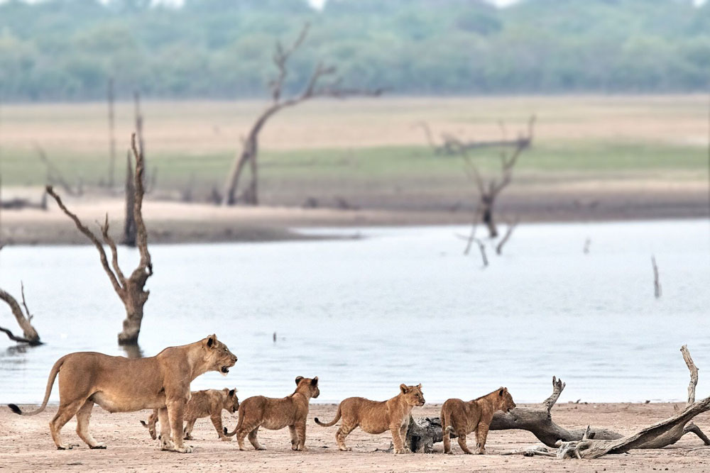 Lake Itezhi-Tezhi - Konkamoya Lodge Zimba Safaris | Kafue National Park Zambia