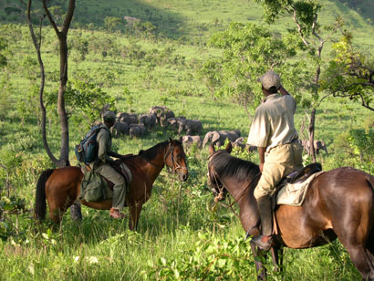 Paardrijd safari Zimbabwe Mavuradonha