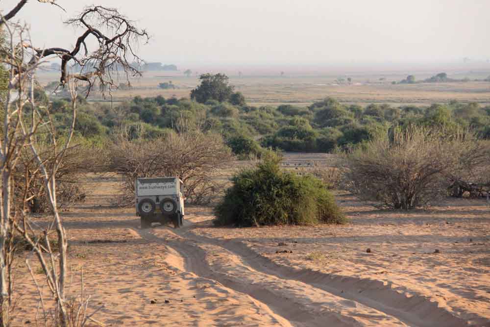Chobe National Park Chobe National Park Botswana