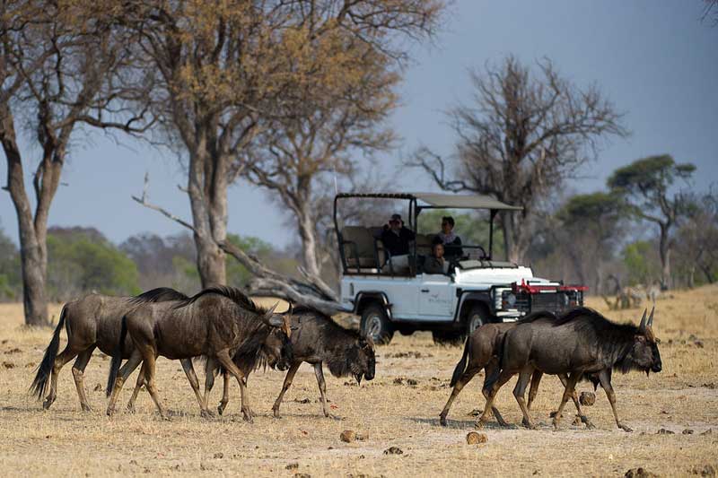Hwange National Park Zimbabwe Hwange National Park