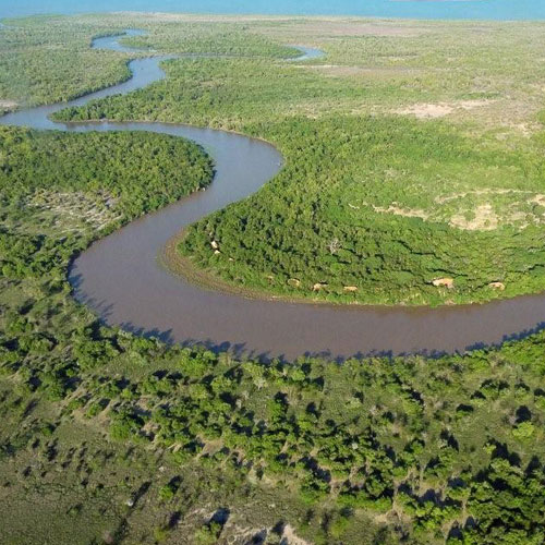 Wami River Saadani NP Saadani safari Tanzania
