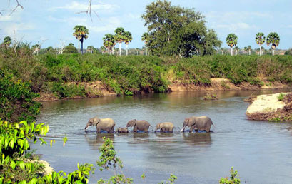 Selous Game Reserve Selous safari Tanzania