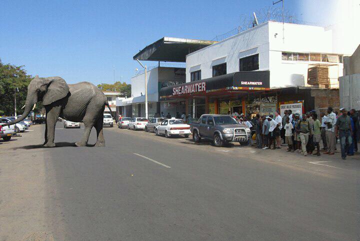 Zimbabwe Victoria Falls Zimbabwe
