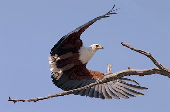 Zimbabwe Lake Kariba Zimbabwe Lake Kariba