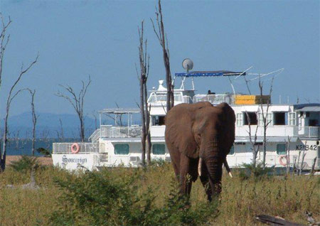 Lake kariba houseboat Zimbabwe Lake kariba houseboat Zimbabwe